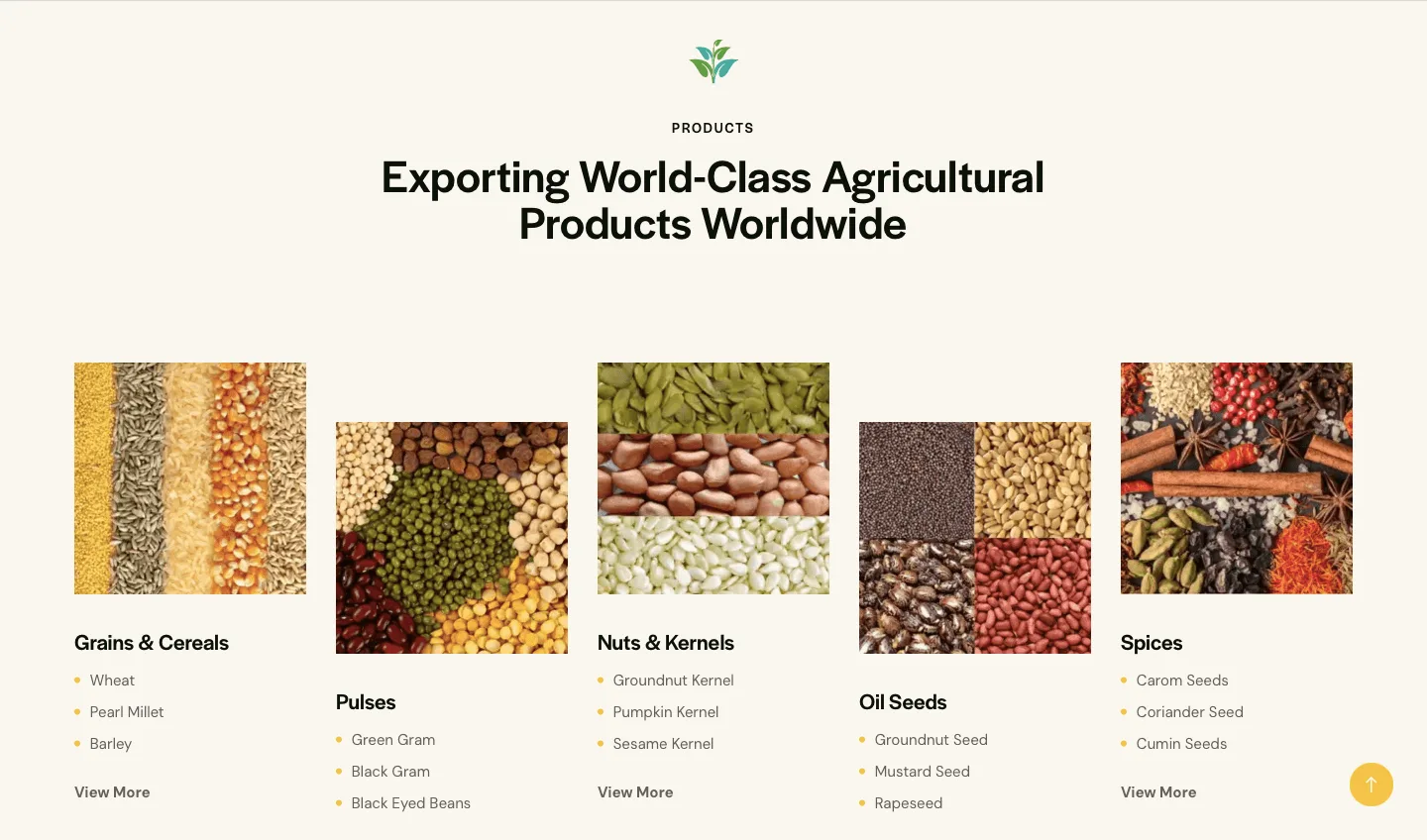 codeghost design foram agri
