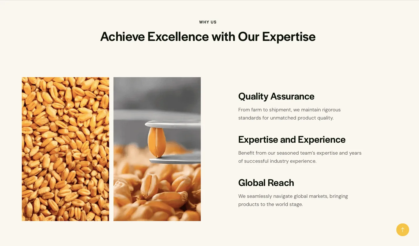 codeghost design foram agri